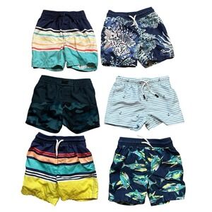 Toddler Boys Swim Trunks Lot of 6 Multiple Brands Carters OshKosh Size 3T EUC
